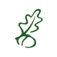 Oakcliff Leaf Logo
