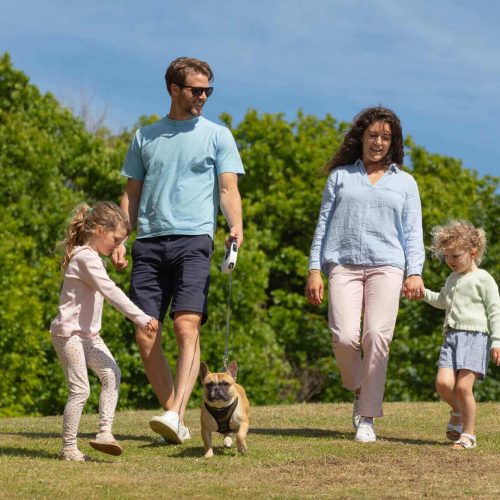 A family walking their dog
